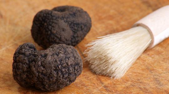 How to clean your fresh truffles?