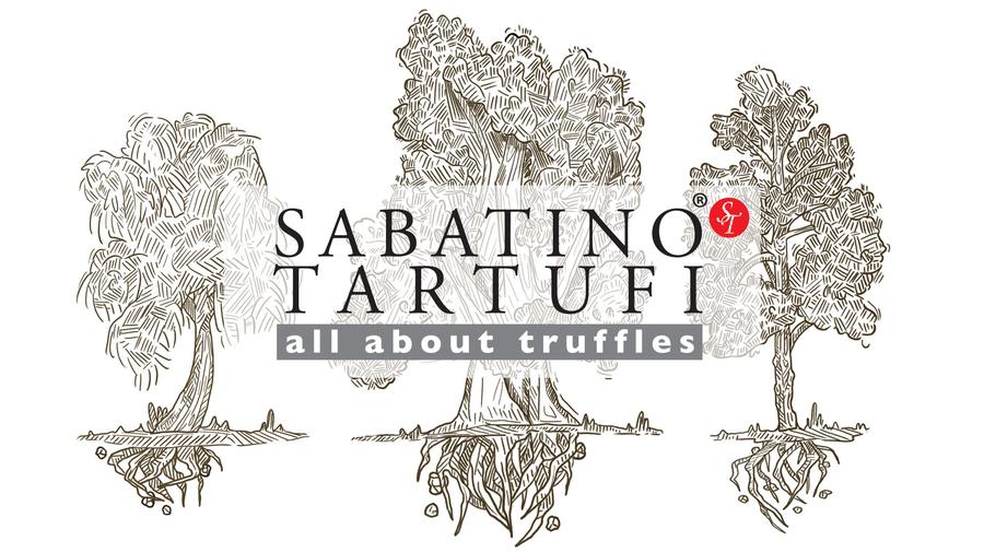 Types of Fresh Truffles