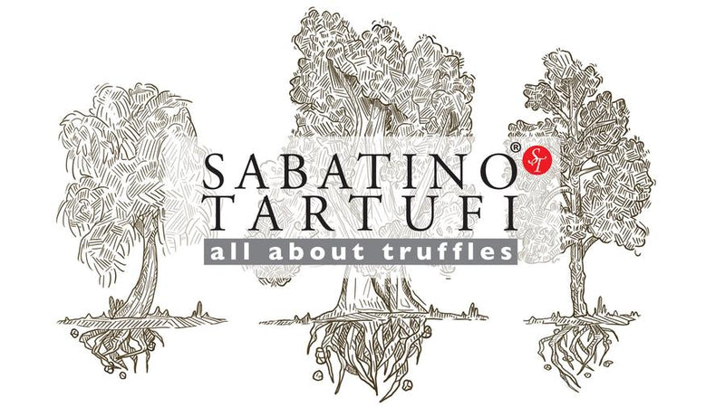Types of Fresh Truffles