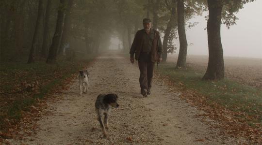 Truffle Hunter and his Dogs