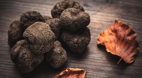 How do I store Fresh Truffles?