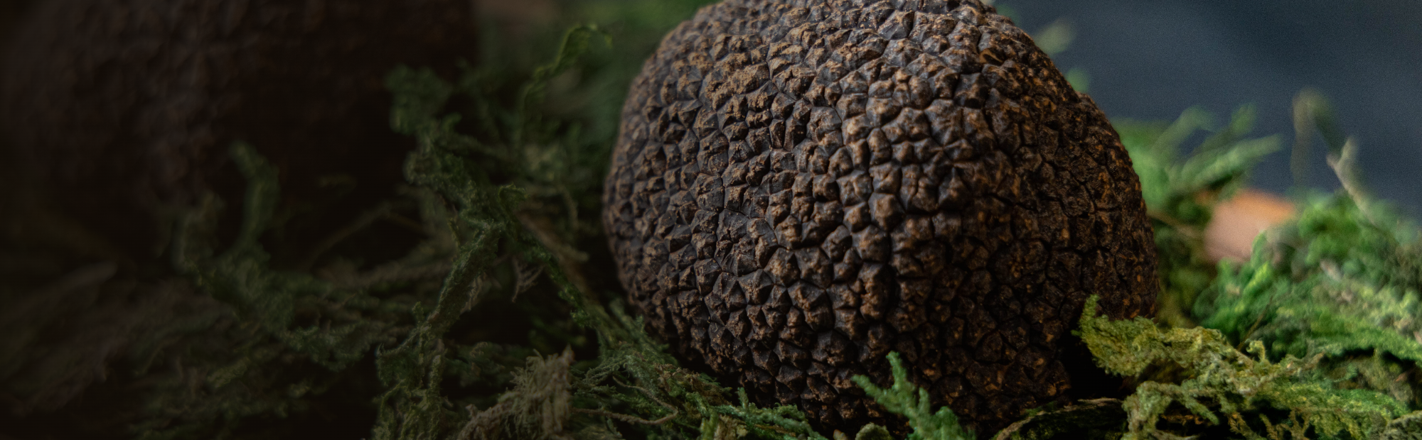 The truffle is not just a food.It is an experience.